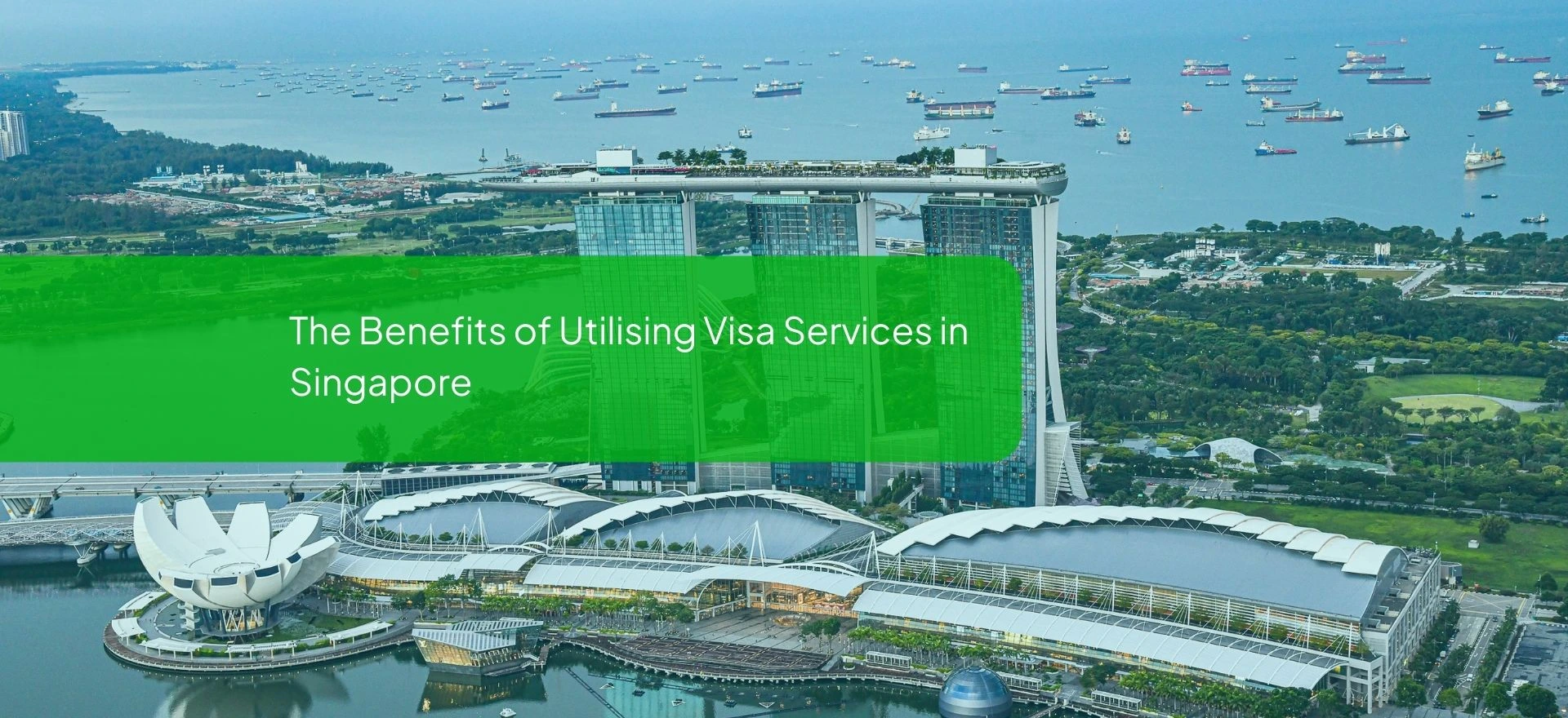visa services